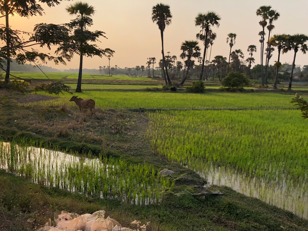 3AEE7BAD-531B-4466-9AA4-7F0DEA97728E