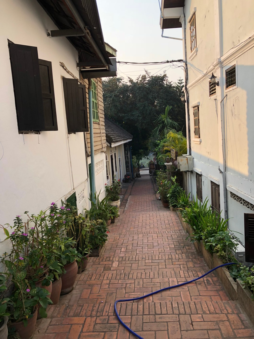 1E6212E5-231A-44B4-96C2-4E6098D00416